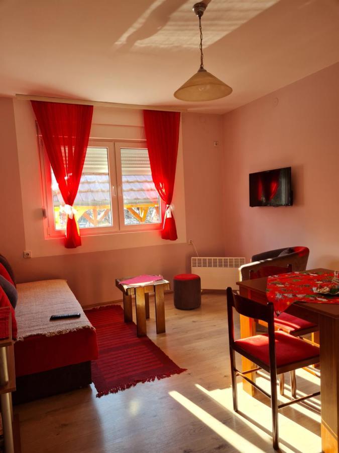 Apartman "Nina" Сокобаня Екстер'єр фото